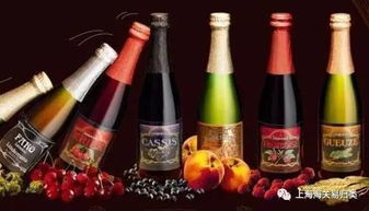 紅酒知識講座 探索酒精飲料的優雅世界